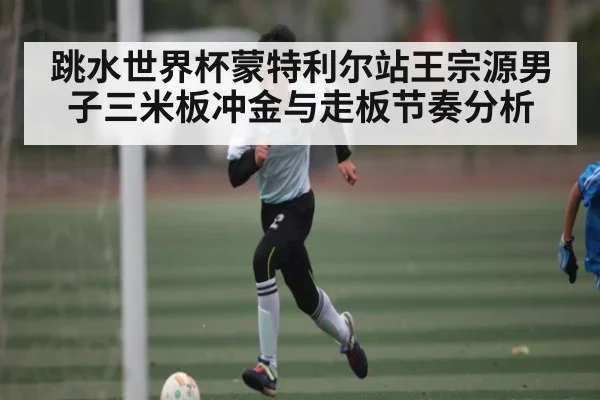 跳水世界杯蒙特利尔站王宗源男子三米板冲金与走板节奏分析 | NG28