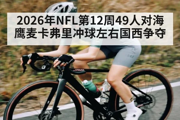 2026年NFL第12周49人对海鹰麦卡弗里冲球左右国西争夺